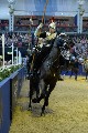 Cavalry - 00205